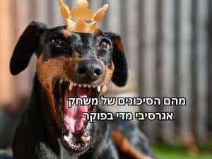 סיכונים בפוקר